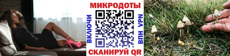 Галлюциногенные грибы мухоморы  как найти наркотики  Александровское 