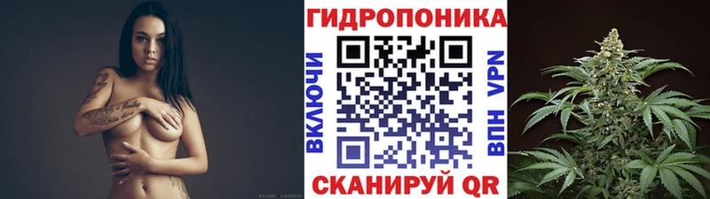мориарти официальный сайт  Александровское  Канабис White Widow 